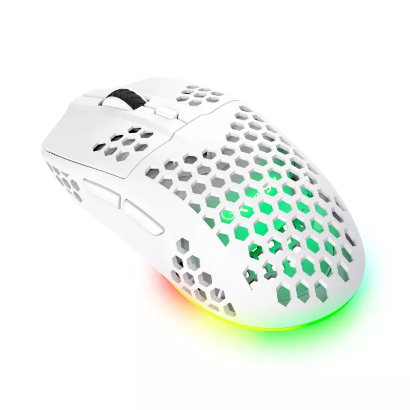 Trust GXT 929 Helox Maus Gaming Rechtshänder RF Wireless Optisch 4800 DPI