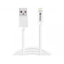 Sandberg USB-A auf Lightning MFI 1M, 1 m, Lightning, USB A, Weiß, Gerade, Gerade