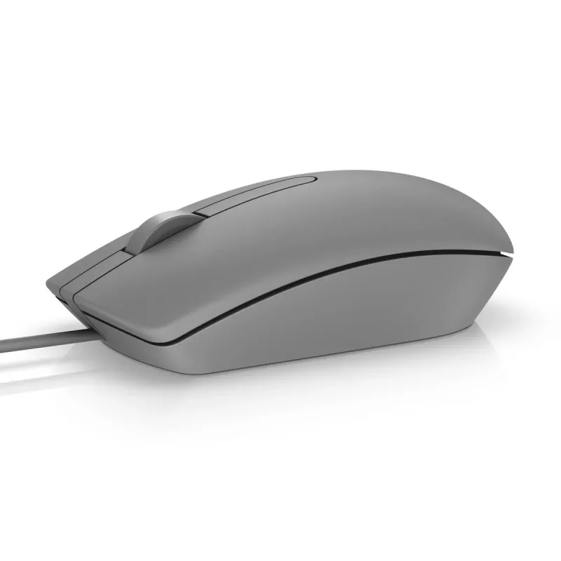 Maus DELL MS116 USB Typ-A beidhändig