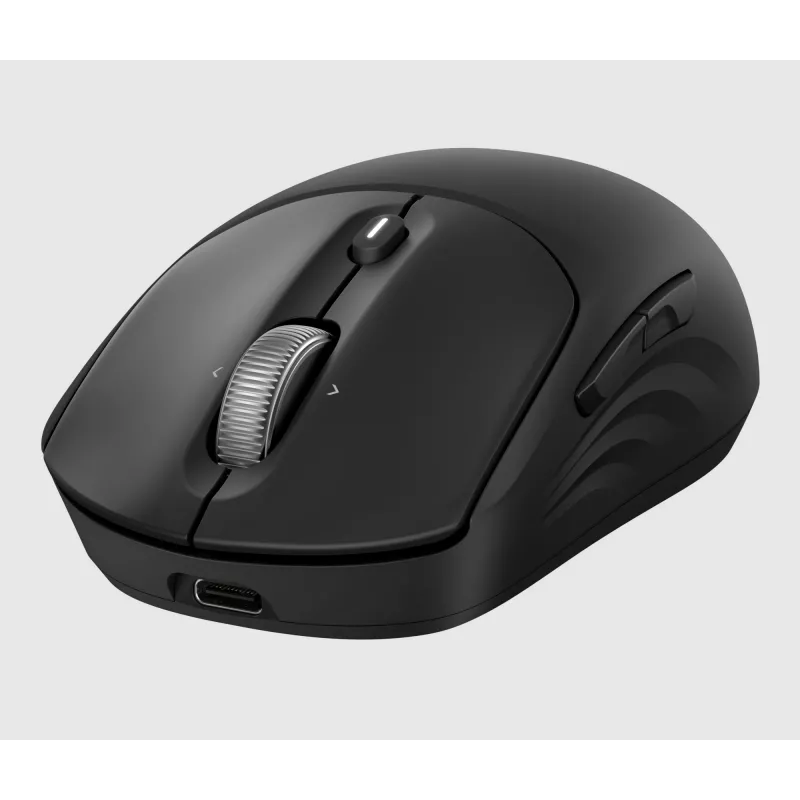 HP 700 Wiederaufladbare kabellose Maus, beidhändig, RF Wireless + Bluetooth, 6000 DPI, Schwarz