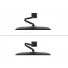Neomounts DS60-600BL1 Monitorhalterung 10-32 Zoll - Quick-Fix - 180°-Stopp