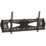 StarTech.com Low-Profile TV-Wandhalterung – neigbar, 190,5 cm (75 Zoll), 300 x 200 mm, 800 x 400 mm, -5 - 10°, Stahl, Schwarz