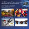 Sony FW-55BZ40L Signage Display Digital-Signage-Flachbildschirm 139,7 cm (55 Zoll) LCD Wi-Fi 700 cd/m² 4K Ultra HD Schwarz Android 24/7