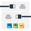 StarTech.com USB-C-zu-USB-C-Kabel - M/M - 3 m (10 ft.) - USB 2.0