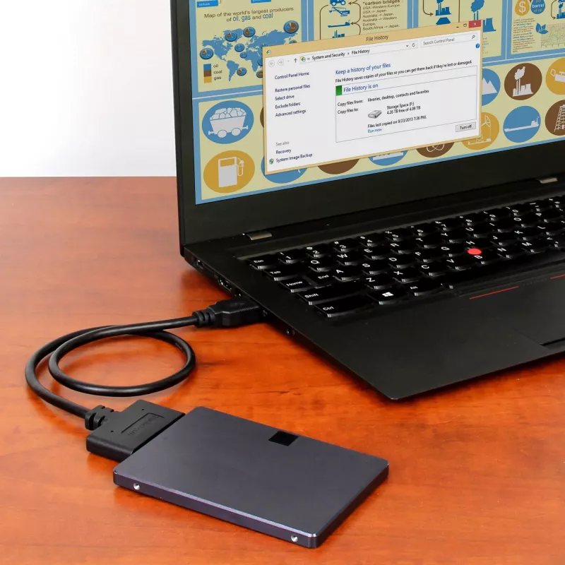 StarTech.com USB 3.1 auf 2,5 Zoll SATA Festplattenadapter – USB 3.1 Gen 2 10 Gbit/s mit UASP externer HDD/SSD Speicherkonverter