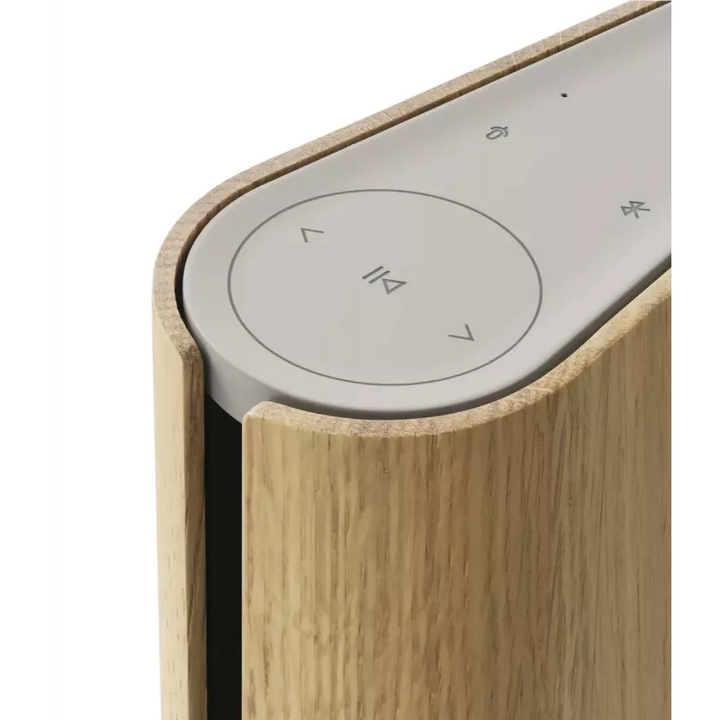 Tragbarer Lautsprecher Bang & Olufsen Beosound Emerge Braun