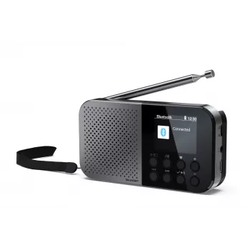 Personal Radio Sharp DR-P520 Digital Tuner DAB DAB+ FM