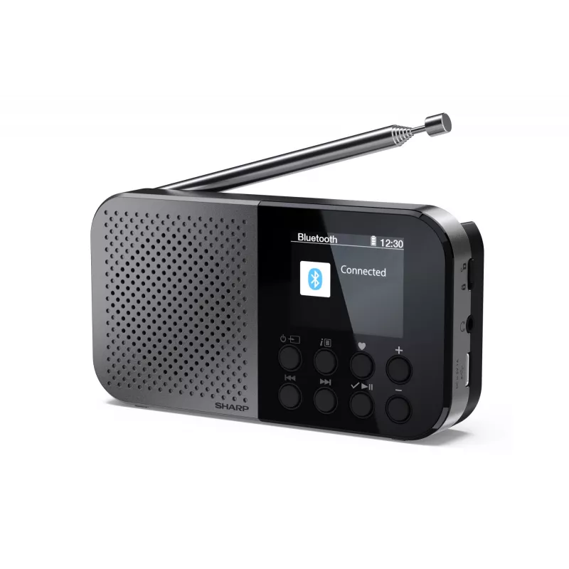 Personal Radio Sharp DR-P520 Digital Tuner DAB DAB+ FM
