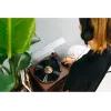 Riemengetriebener Audio-Plattenspieler Lenco LS-430BN Braun Manuell 3-4 g Auflagekraft
