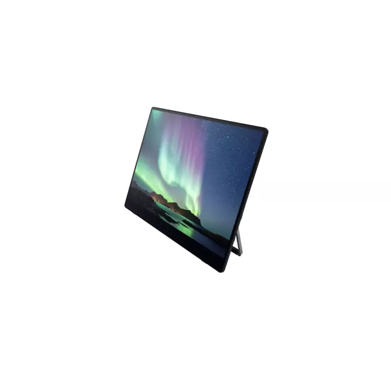 Tragbarer Monitor Ricoh Portable Monitor 150 15,6 Zoll LED 1920 x 1080