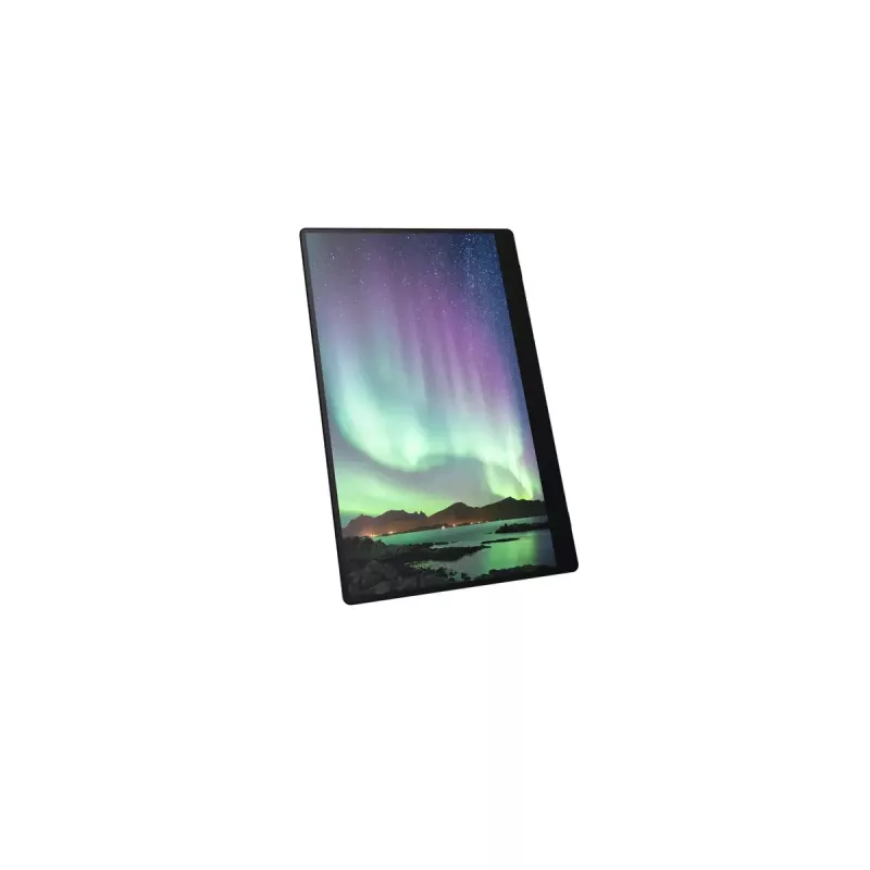 Tragbarer Monitor Ricoh Portable Monitor 150BW 39,6 cm (15,6 Zoll) LED 1920 x 1080