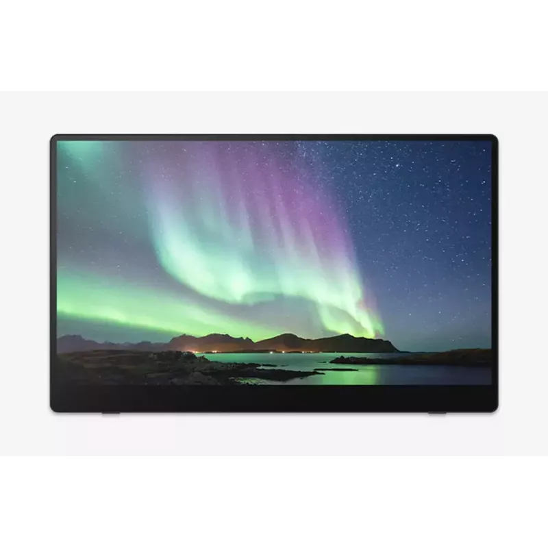 Tragbarer Monitor Ricoh Portable Monitor 150BW 39,6 cm (15,6 Zoll) LED 1920 x 1080