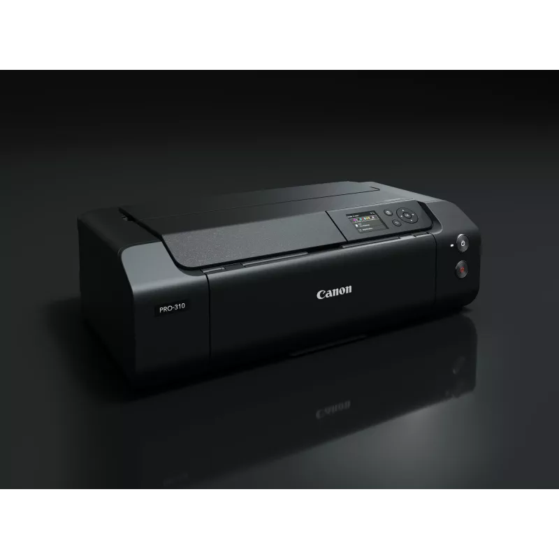 Canon imagePROGRAF PRO-310 Tintenstrahldrucker Farbe 4800 x 2400 DPI A3+ WLAN