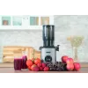 Unold 78275 SLOW JUICER Sam 300 W Charcoal