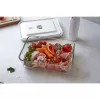 Box ZWILLING FRESH & SAVE rechteckig 2 L Grau
