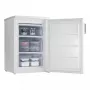 Severin GS 8865 Gefrierschrank 85 L