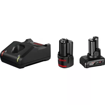 Bosch 1 x GBA 12V 2,0Ah + 1 x GBA 12V 4,0Ah + GAL 12V-40 Professional Ladegerät Haushaltsakku AC