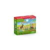 Pony-Agility-Training Schleich 42481 Mehrfarbig Kunststoff 3-8 Jahre