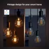 Intelligente Lampe Philips 1er-Pack G93 E27 Filament