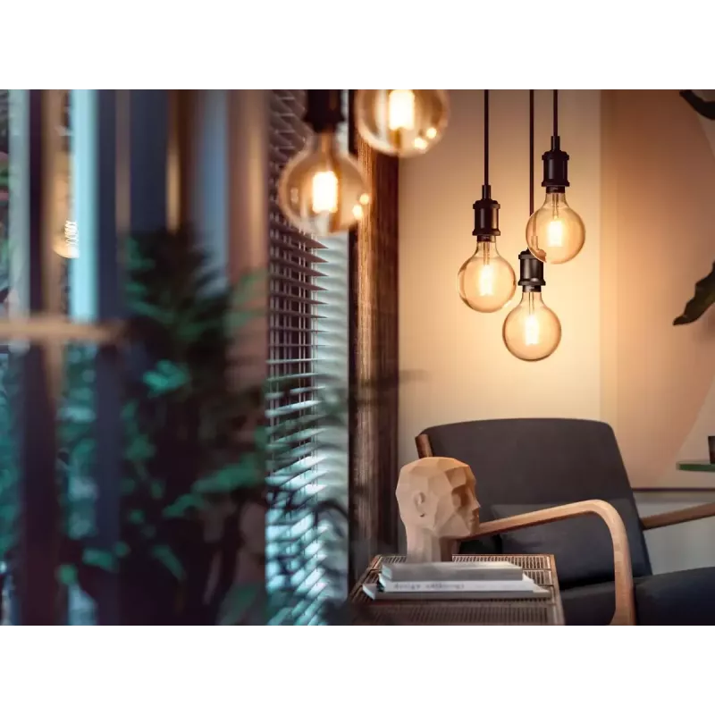 Intelligente Lampe Philips 1er-Pack G93 E27 Filament