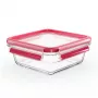 EMSA CLIP & CLOSE N10414 Quadratische Box 0,8 L Transparent 1 Stück