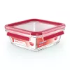 EMSA CLIP & CLOSE N10414 Quadratische Box 0,8 L Transparent 1 Stück