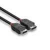 Lindy 0,5m DisplayPort 1.2 Kabel, Schwarz Line