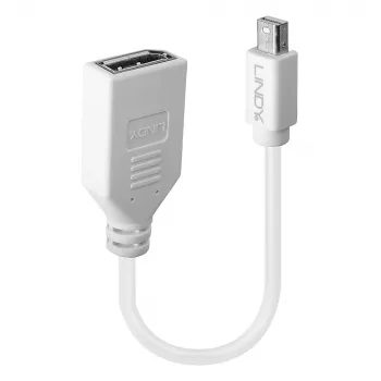 Lindy 0,20 m Mini DisplayPort auf DisplayPort Adapterkabel, 0,15 m, Mini DisplayPort, DisplayPort, Stecker, Buchse, Weiß
