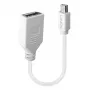 Lindy 0,20 m Mini DisplayPort auf DisplayPort Adapterkabel, 0,15 m, Mini DisplayPort, DisplayPort, Stecker, Buchse, Weiß