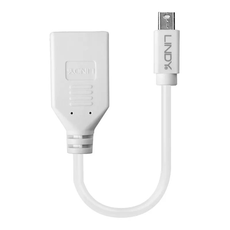 Lindy 0,20 m Mini DisplayPort auf DisplayPort Adapterkabel, 0,15 m, Mini DisplayPort, DisplayPort, Stecker, Buchse, Weiß