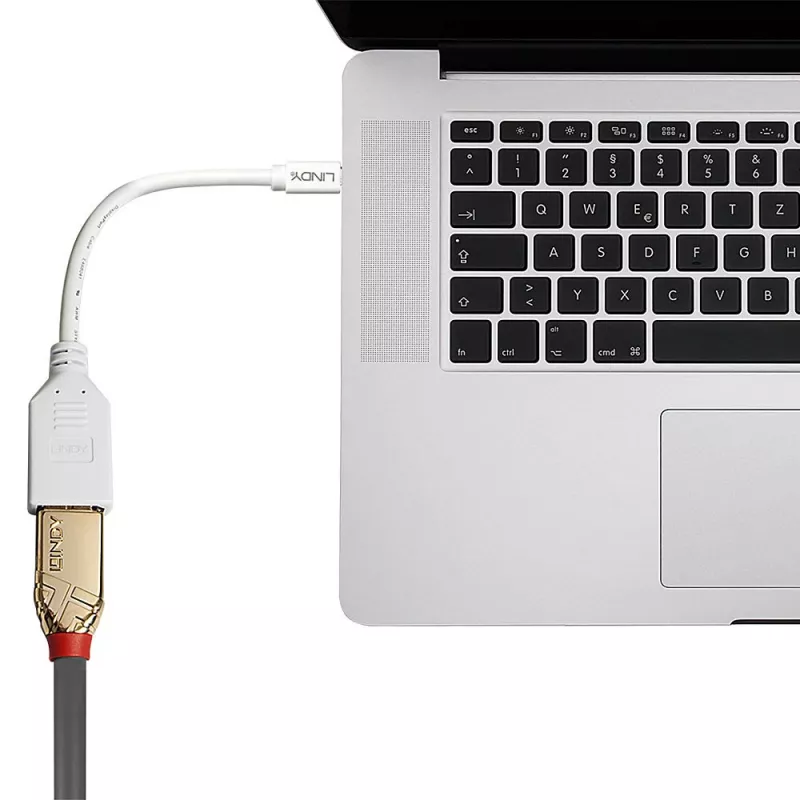 Lindy 0,20 m Mini DisplayPort auf DisplayPort Adapterkabel, 0,15 m, Mini DisplayPort, DisplayPort, Stecker, Buchse, Weiß