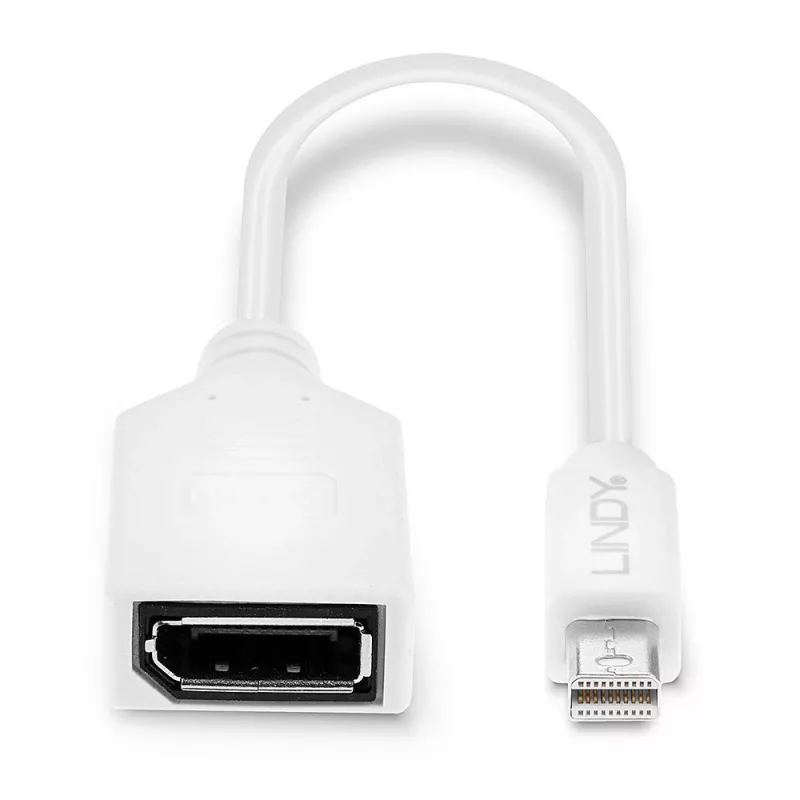 Lindy 0,20 m Mini DisplayPort auf DisplayPort Adapterkabel, 0,15 m, Mini DisplayPort, DisplayPort, Stecker, Buchse, Weiß