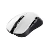 Trust GXT 923W YBAR Maus Gaming Rechtshändig RF Wireless Optisch 7200 DPI