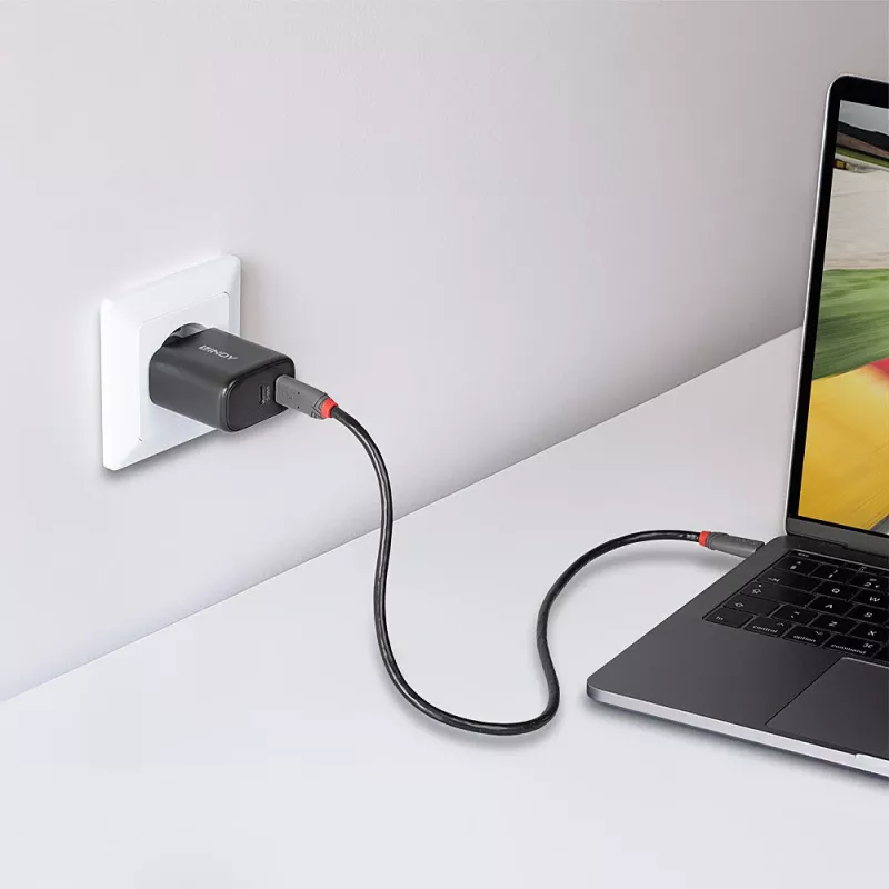 Lindy 65W USB 2 x Typ-C GaN-Ladegerät 73438