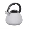 RESTO Wasserkocher 2,7 l 2200 W, graues Gehäuse, schwarzer Griff