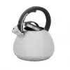 RESTO Wasserkocher 2,7 l 2200 W, graues Gehäuse, schwarzer Griff