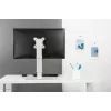 Neomounts FPMA-D890WHITE Monitorständer 10-30 Zoll, freistehend, 6 kg, 25,4 cm (10 Zoll), 76,2 cm (30 Zoll), 100 x 100 mm, Weiß