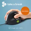 R-Go Tools Ergonomische Maus R-Go HE Break mit Break-Software, mittel (Handgröße 165-185 mm), rechtshändig, kabelgebunden, schwarz