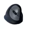 R-Go Tools Ergonomische Maus R-Go HE Break mit Pausensoftware, mittel (Handgröße 165-185 mm), für Rechtshänder, Bluetooth, schwarz