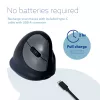 R-Go Tools Ergonomische Maus R-Go HE Break mit Pausensoftware, mittel (Handgröße 165-185 mm), für Rechtshänder, Bluetooth, schwarz