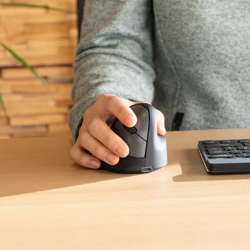 R-Go Tools Ergonomische Maus R-Go HE Break mit Pausensoftware, klein (Handgröße ˂165 mm), rechtshändig, kabelgebunden, schwarz