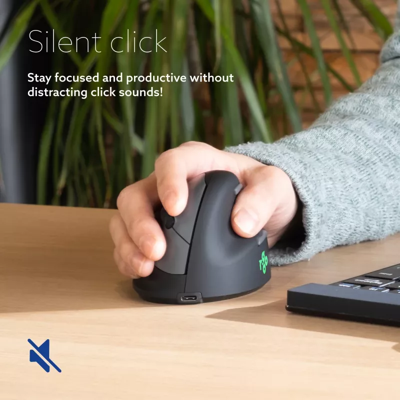 R-Go Tools Ergonomische Maus R-Go HE Break mit Pausensoftware, klein (Handgröße ˂165 mm), rechtshändig, kabelgebunden, schwarz