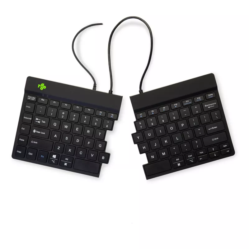 R-Go Tools Ergonomische Tastatur R-Go Split Break v2 mit Break-Software, ergonomische geteilte Tastatur, QWERTY (US), Kabelgebunden, schwarz