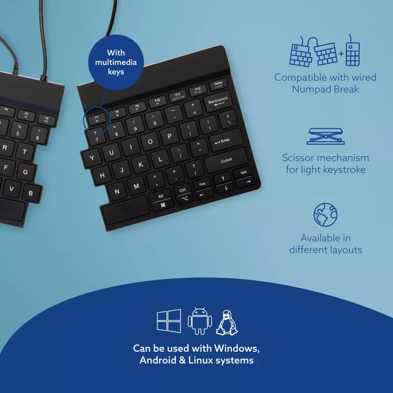 R-Go Tools Ergonomische Tastatur R-Go Split Break v2 mit Break-Software, ergonomische geteilte Tastatur, QWERTY (US), Kabelgebunden, schwarz