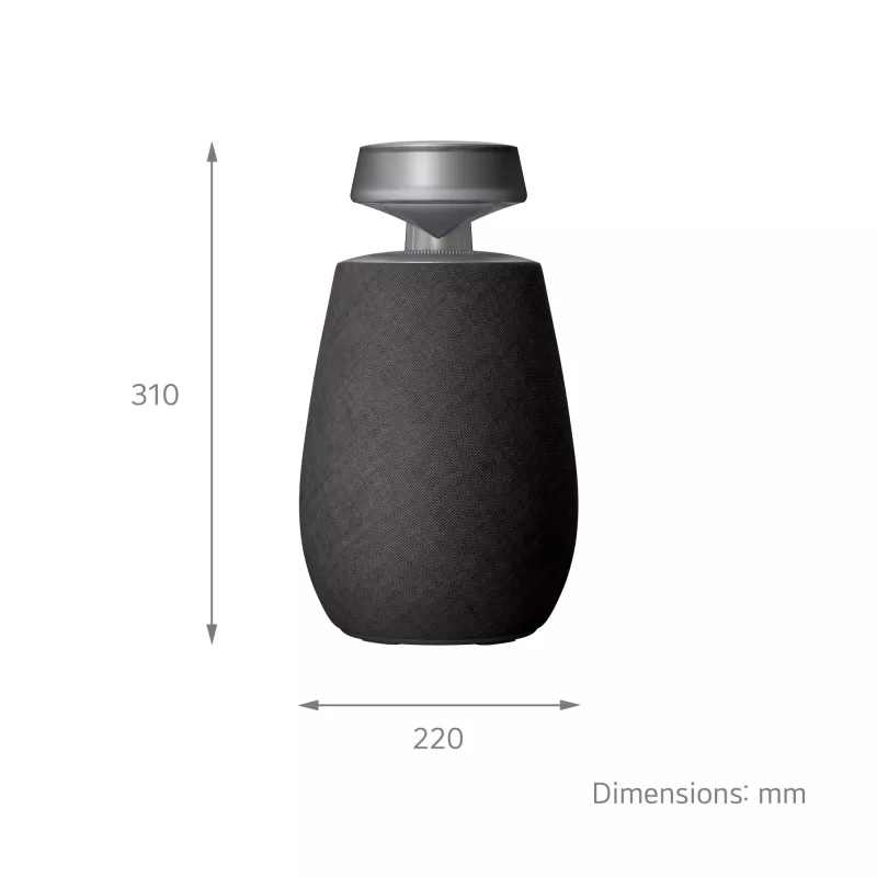 LG XBOOM 360 Mono tragbarer Lautsprecher Schwarz 20 W