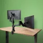 R-Go Tools Monitorhalterung R-Go Caparo Dual, für zwei Monitore, höhenverstellbar mit Gasfeder, 3-9 kg Tragkraft, 100% kreislauffähig, schwarz