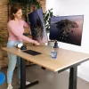 R-Go Tools Monitorhalterung R-Go Caparo Dual, für zwei Monitore, höhenverstellbar mit Gasfeder, 3-9 kg Tragkraft, 100% kreislauffähig, schwarz