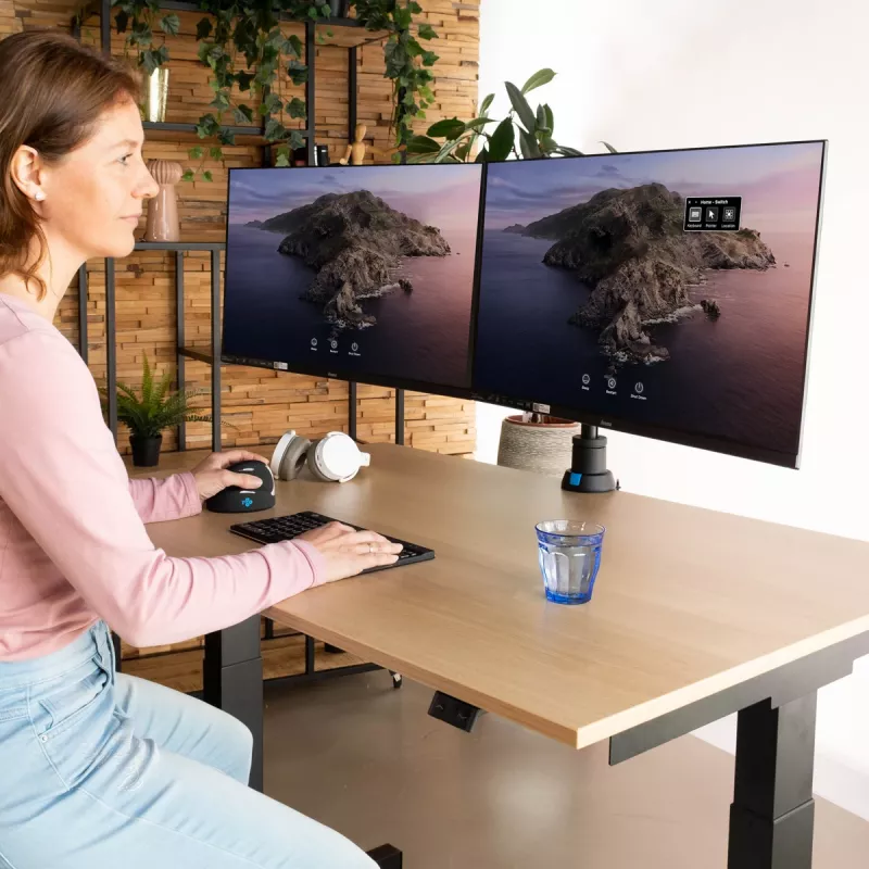 R-Go Tools Monitorhalterung R-Go Caparo Dual, für zwei Monitore, höhenverstellbar mit Gasfeder, 3-9 kg Tragkraft, 100% kreislauffähig, schwarz