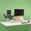 R-Go Tools R-Go Morelia Dokumentenhalter, Modul mit Caparo und Zepher Monitorarm