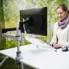 R-Go Tools R-Go Morelia Dokumentenhalter, Modul mit Caparo und Zepher Monitorarm